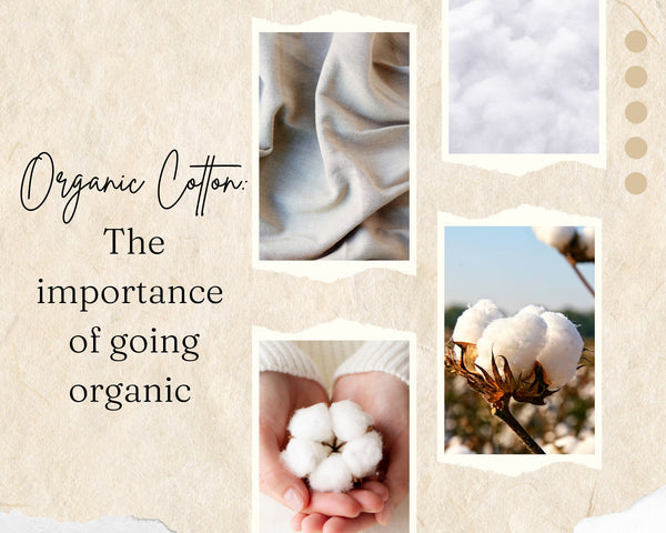 Organic Clothing: The Importance of Going Organic